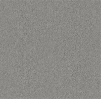 Baltimore zilver 0175